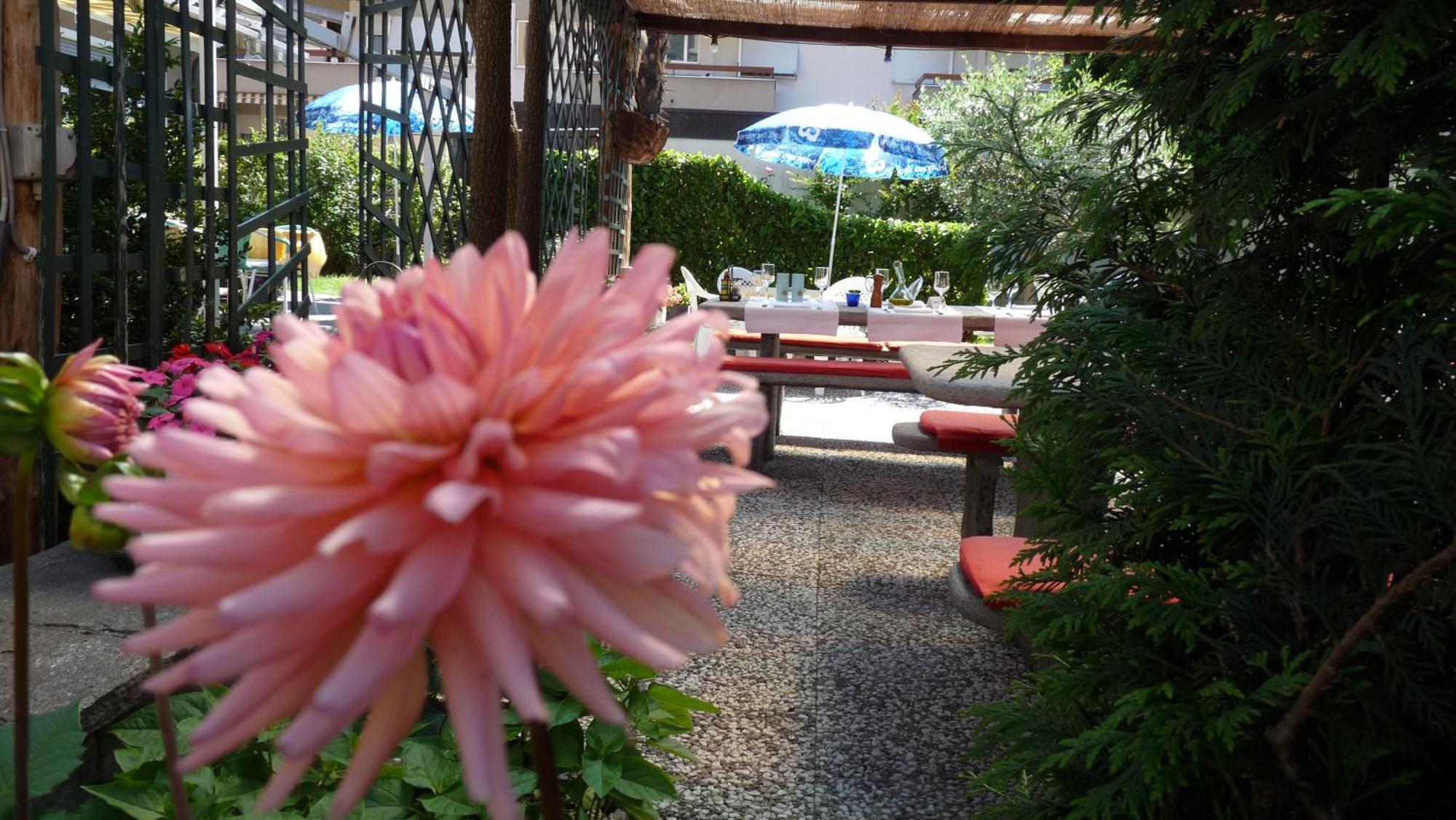 Osteria Ticino By Ketty & Tommy Otel Ascona Dış mekan fotoğraf